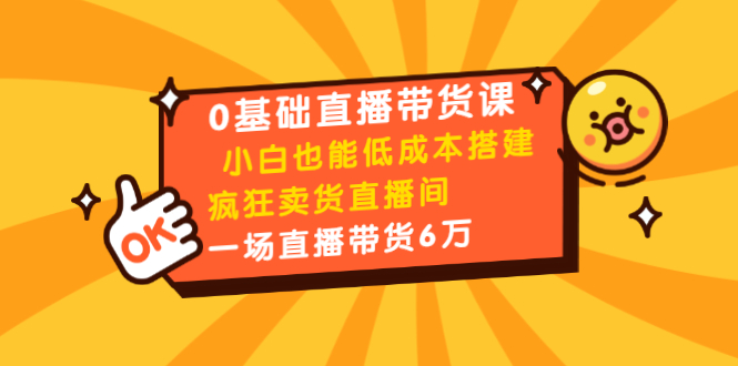 0基础直播带货课：小白也能低成本搭建疯狂卖货直播间：1场直播带货6万_海蓝资源库