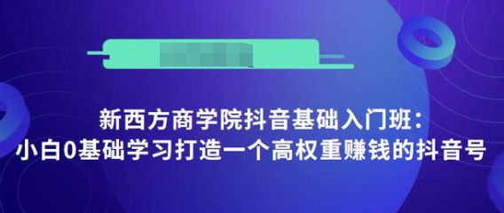 抖音基础入门班：小白0基础学习打造一个高权重赚钱的抖音号_海蓝资源库