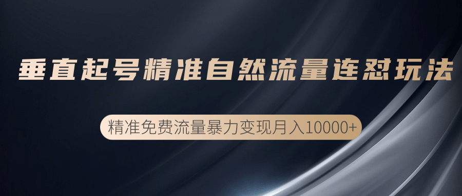 垂直起号精准自然流量连爆玩法，精准引流暴力变现月入10000+_海蓝资源库