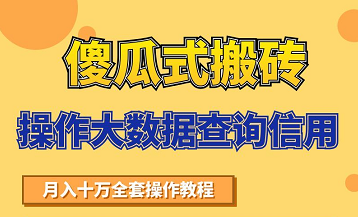 搬砖操作大数据查询信用项目赚钱教程，祝你快速月入6万_海蓝资源库