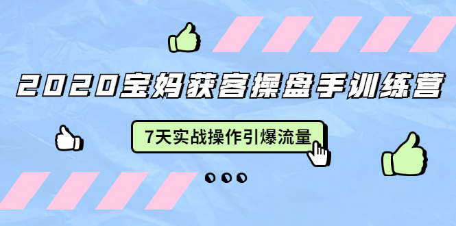 2020宝妈获客操盘手训练营：7天实战操作引爆 母婴、都市、购物宝妈流量_海蓝资源库