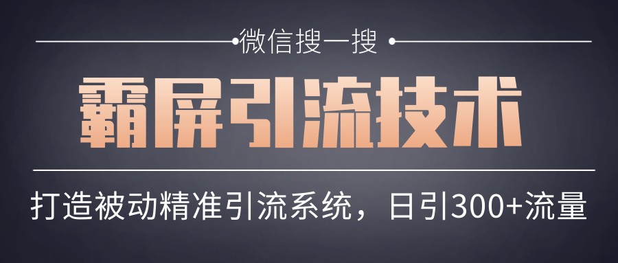 微信搜一搜霸屏引流技术，打造被动精准引流系统，轻松日引300+流量_海蓝资源库