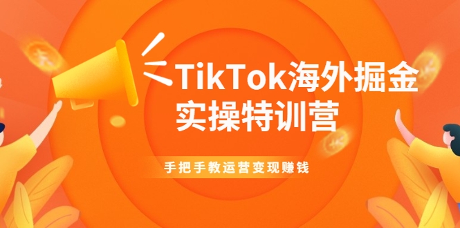 TikTok海外掘金实操特训营：手把手教运营变现赚钱_海蓝资源库