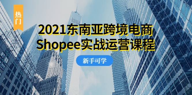 2021东南亚跨境电商Shopee实战运营课程，0基础、0经验、0投资的副业项目_海蓝资源库