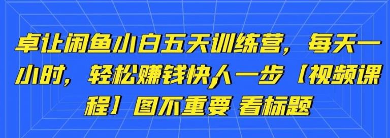 卓让闲鱼小白五天训练营，每天一小时，轻松赚钱快人一步_海蓝资源库