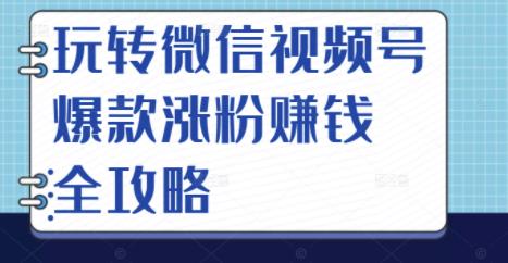 玩转微信视频号爆款涨粉赚钱全攻略，让你快速抓住流量风口，收获红利财富_海蓝资源库