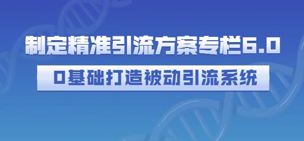 制定精准引流方案专栏6.0，0基础打造被动引流系统_海蓝资源库