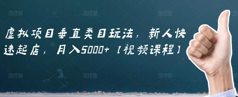 虚拟项目垂直类目玩法，新人快速起店，月入5000+【视频课程】_海蓝资源库