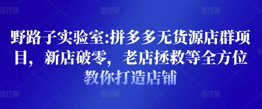 野路子实验室:拼多多无货源店群项目，新店破零，老店拯救等全方位教你打造店铺_海蓝资源库