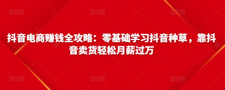 抖音电商赚钱全攻略：零基础学习抖音种草，靠抖音卖货轻松月薪过万_海蓝资源库