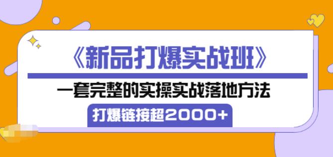 凌童《新品打爆实战班》,一套完整的实操实战落地方法，打爆链接超2000+（28节课)_海蓝资源库