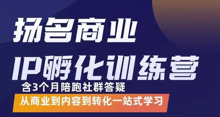 杨名商业IP孵化训练营，从商业到内容到转化一站式学 价值5980元_海蓝资源库