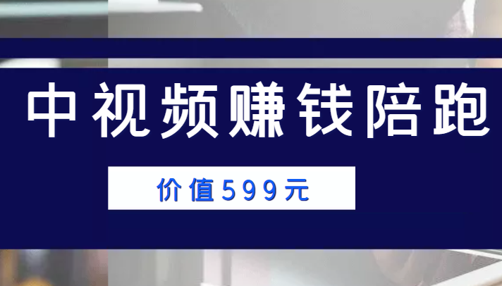 中视频赚钱陪跑，卖中视频账户赚钱收益陪跑项目（价值599元）_海蓝资源库