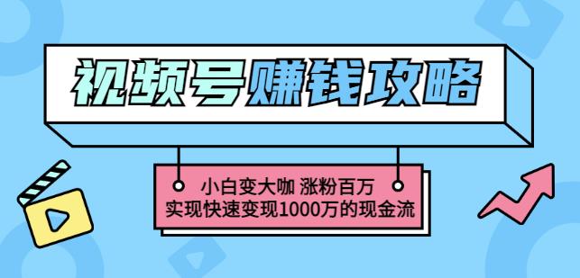 玩转微信视频号赚钱：小白变大咖涨粉百万实现快速变现1000万的现金流_海蓝资源库