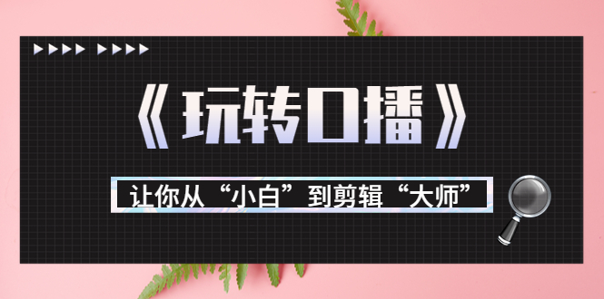 月营业额700万+大佬教您《玩转口播》让你从“小白”到剪辑“大师”_海蓝资源库