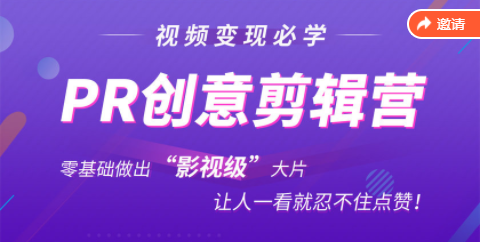 抖音赚钱必学的PR创意剪辑：零基础做出“影视级”大片，让人一看就忍不住为你点赞！_海蓝资源库