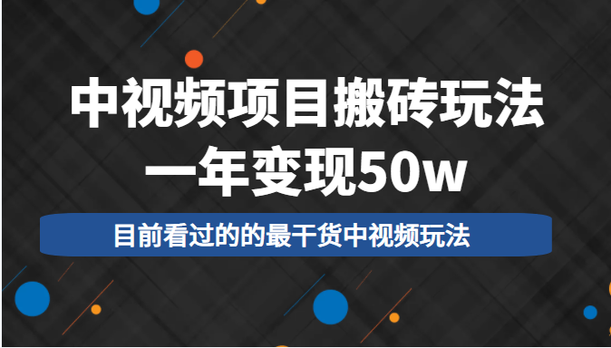 中视频项目搬砖玩法，一年变现50w，目前看过的的最干货中视频玩法_海蓝资源库