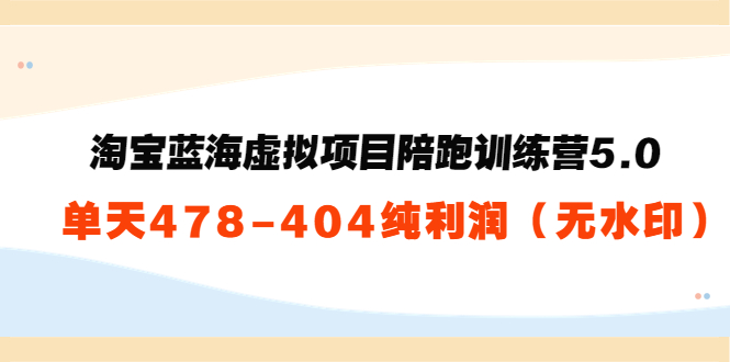 淘宝蓝海虚拟项目陪跑训练营5.0：单天478纯利润_海蓝资源库