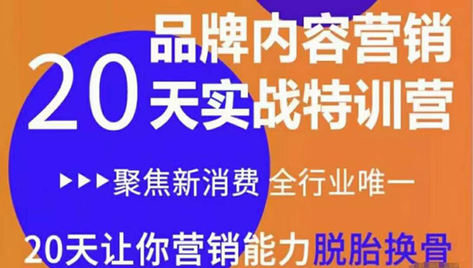 《内容营销实操特训营》20天让你营销能力脱胎换骨（价值3999）_海蓝资源库