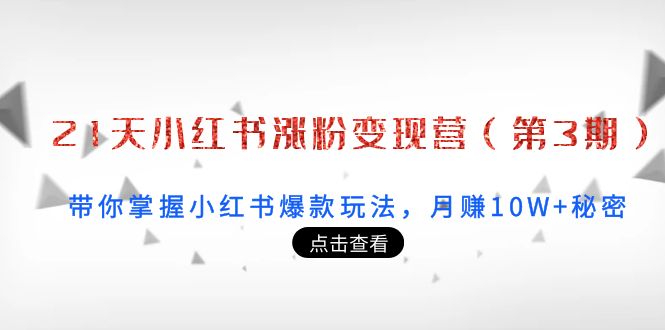 21天小红书涨粉变现营（第3期）：带你掌握小红书爆款玩法，月赚10W+秘密_海蓝资源库