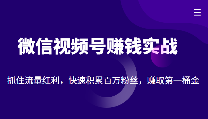 微信视频号赚钱实战：抓住流量红利，快速积累百万粉丝，赚取你的第一桶金_海蓝资源库