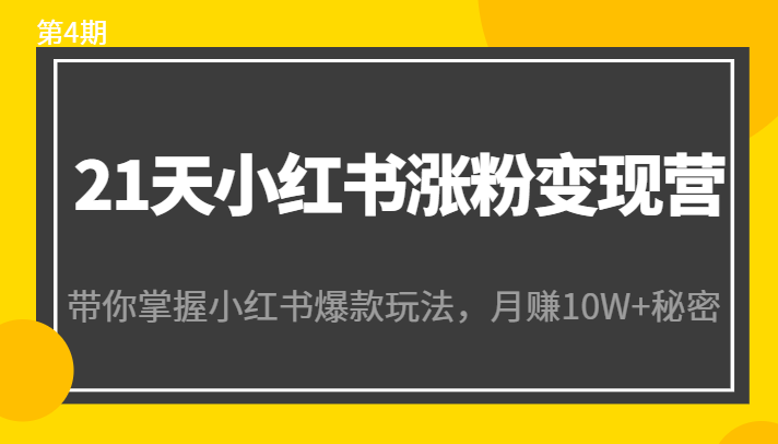 21天小红书涨粉变现营（第4期）：带你掌握小红书爆款玩法，月赚10W+秘密_海蓝资源库