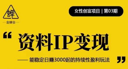 资料IP变现，能稳定日赚3000起的持续性盈利玩法_海蓝资源库