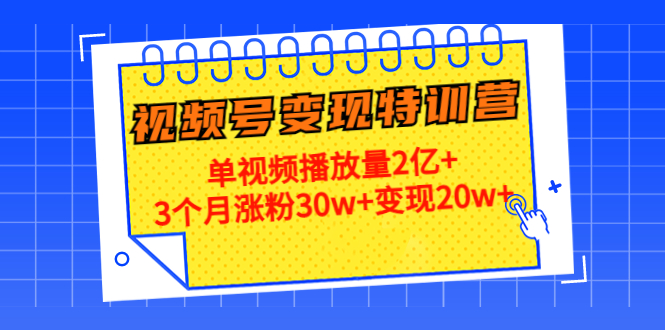 21天视频号变现特训营：单视频播放量2亿+3个月涨粉30w+变现20w+（第14期）_海蓝资源库