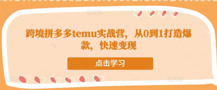 跨境拼多多temu实战营，从0到1打造爆款，快速变现_海蓝资源库