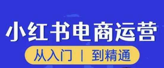 顽石小红书电商高阶运营课程，从入门到精通，玩法流程持续更新_海蓝资源库