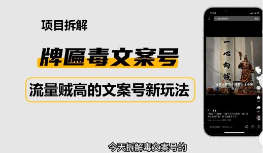 2023抖音快手毒文案新玩法，牌匾文案号，起号快易变现_海蓝资源库