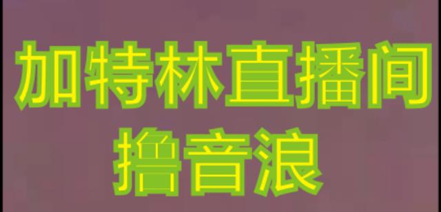 抖音加特林直播间搭建技术，抖音0粉开播，暴力撸音浪，2023新口子，每天800+【素材+详细教程】_海蓝资源库