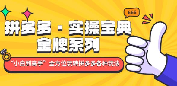 拼多多·实操宝典：金牌系列“小白到高手”带你全方位玩转拼多多各种玩法_海蓝资源库