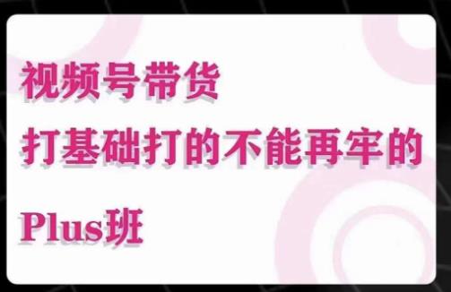 大播汇·视频号带货Puls班，视频号底层逻辑，起号自然流鱼塘等玩法_海蓝资源库