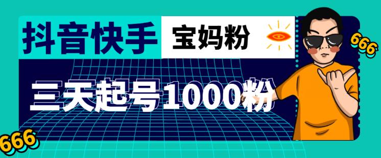 抖音快手三天起号涨粉1000宝妈粉丝的核心方法【详细玩法教程】_海蓝资源库