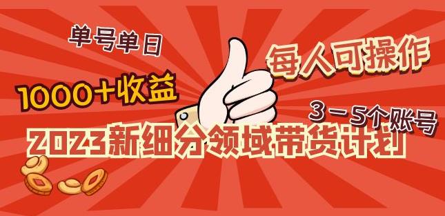 2023新细分领域带货计划：单号单日1000+收益不难，每人可操作3-5个账号_海蓝资源库