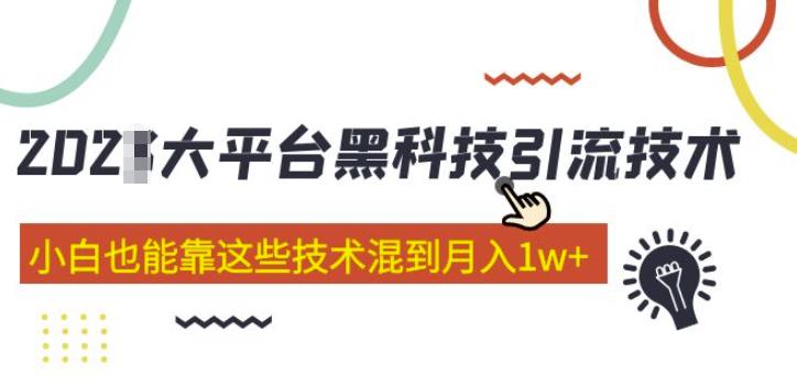 大平台黑科技引流技术，小白也能靠这些技术混到月入1w+(2022年的课程）_海蓝资源库