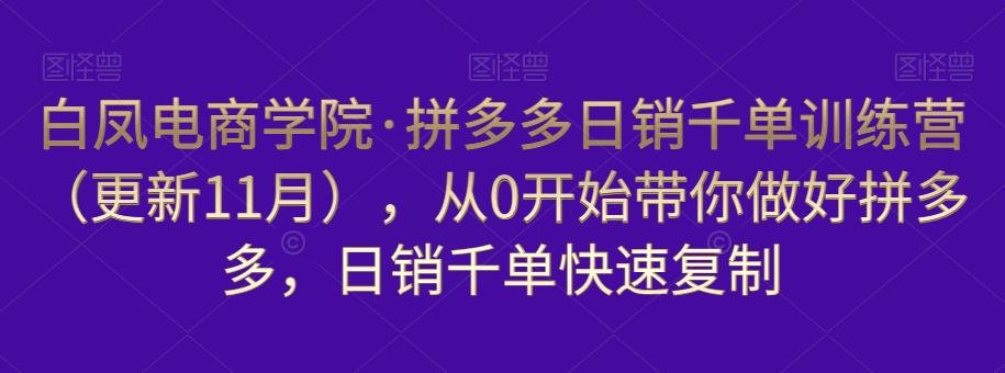 白凤电商学院·拼多多日销千单训练营，从0开始带你做好拼多多，日销千单快速复制（更新知2023年3月）_海蓝资源库