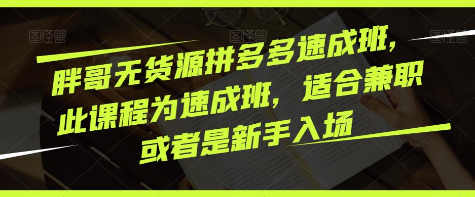 胖哥无货源拼多多速成班，此课程为速成班，适合兼职或者是新手入场_海蓝资源库