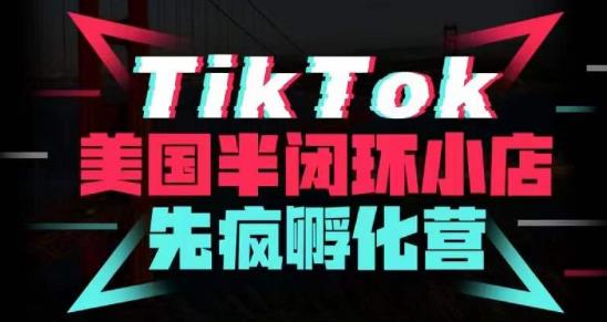 疯人院·TikTok美国半闭环小店孵化营，抢占TikTok美国蓝海市场，开店、运营、带货、投流全实操_海蓝资源库