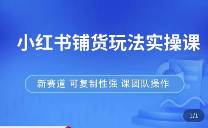 小红书铺货玩法实操课，流量大，竞争小，非常好做，新赛道，可复制性强，可团队操作_海蓝资源库