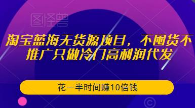 淘宝蓝海无货源项目，不囤货不推广只做冷门高利润代发，花一半时间赚10倍钱_海蓝资源库