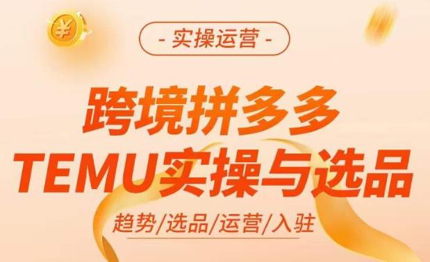 跨境拼多多TEMU实操与选品，​掌握平台运营方法技巧，选品避坑12条标准，爆款的底层思路等_海蓝资源库