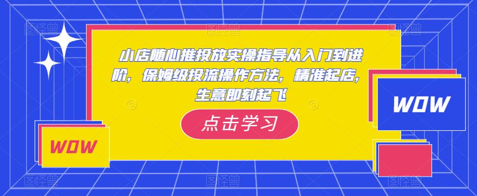 小店随心推投放实操指导从入门到进阶，保姆级投流操作方法，精准起店，生意即刻起飞_海蓝资源库