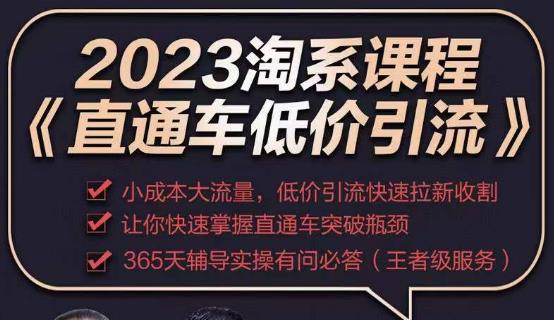 2023直通车低价引流玩法课程，小成本大流量，低价引流快速拉新收割，让你快速掌握直通车突破瓶颈_海蓝资源库