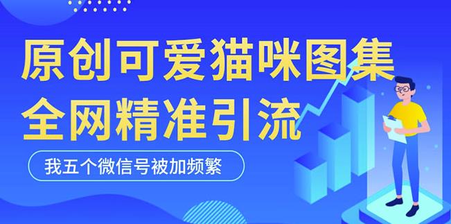 黑科技纯原创可爱猫咪图片，全网精准引流，实操5个VX号被加频繁_海蓝资源库