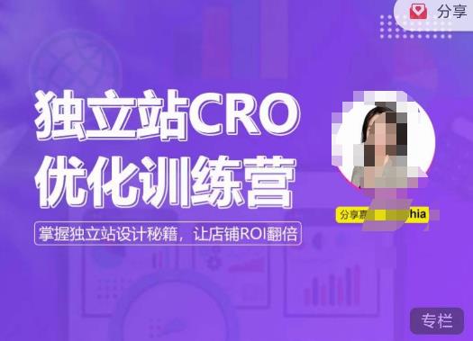 独立站CRO优化训练营，掌握独立站设计秘籍，打造高转化的独立站，让店铺ROI翻倍_海蓝资源库