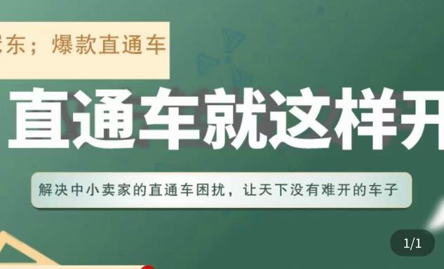 冠东·淘系直通车保姆级教程，全面讲解直通车就那么简单_海蓝资源库