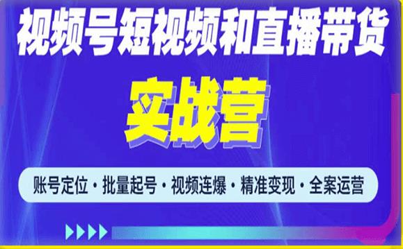 2023最新微信视频号引流和变现全套运营实战课程，小白也能玩转视频号短视频和直播运营_海蓝资源库