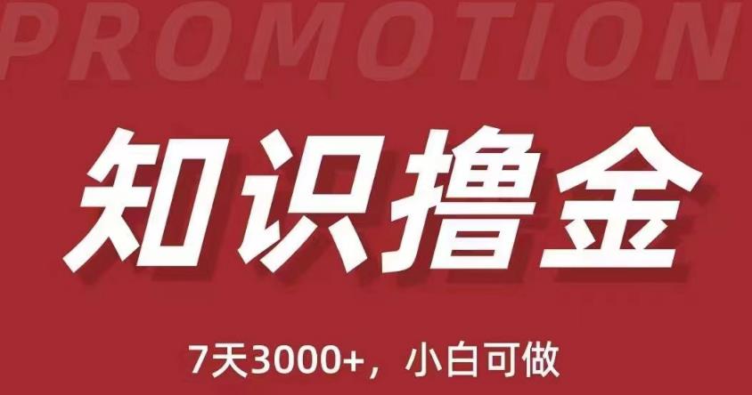 抖音知识撸金项目：简单粗暴日入1000+执行力强当天见收益(教程+资料)_海蓝资源库